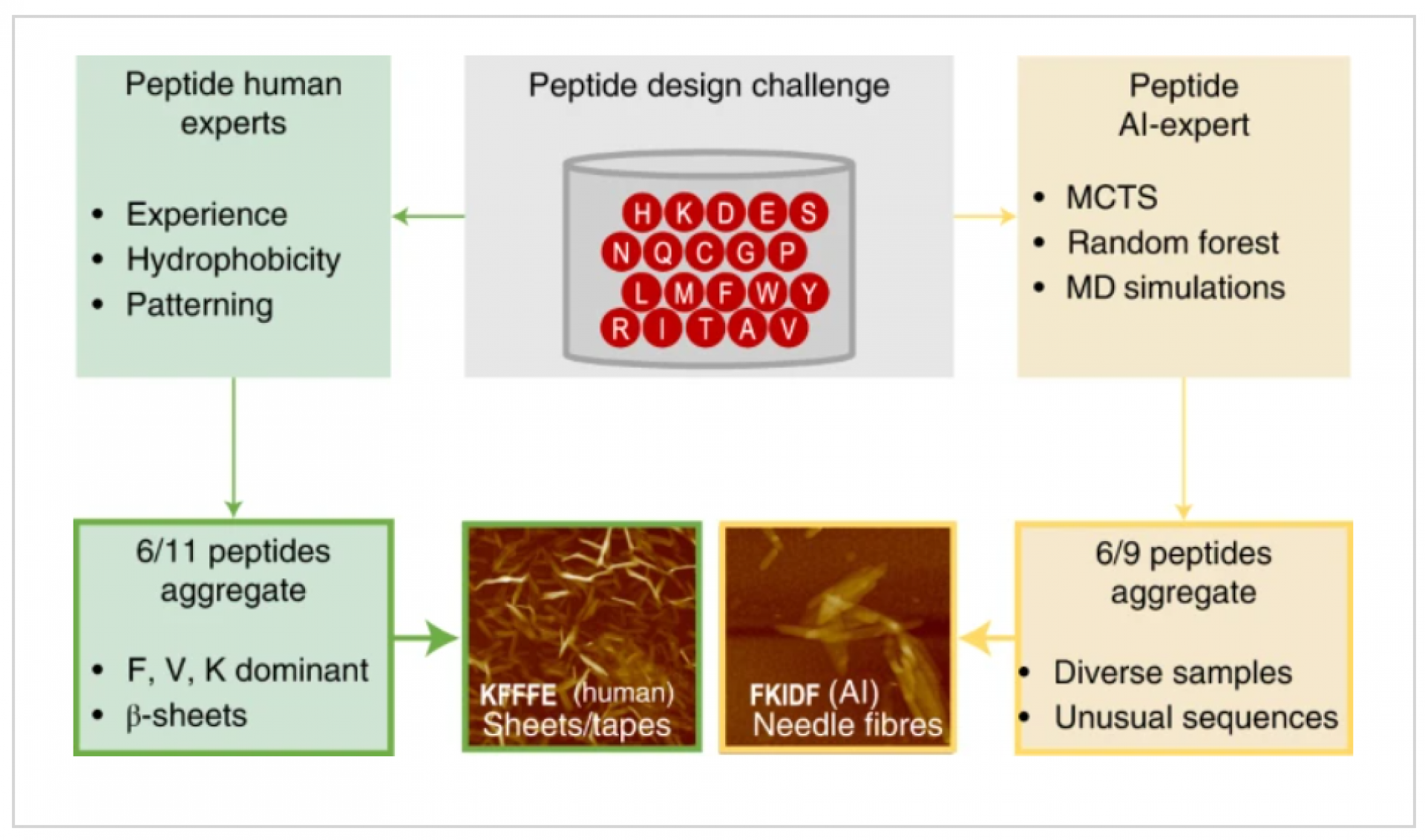 AI narrowly wins in a test of knowledge about self-assembly AI narrowly wins in a test of knowledge about self-assembly