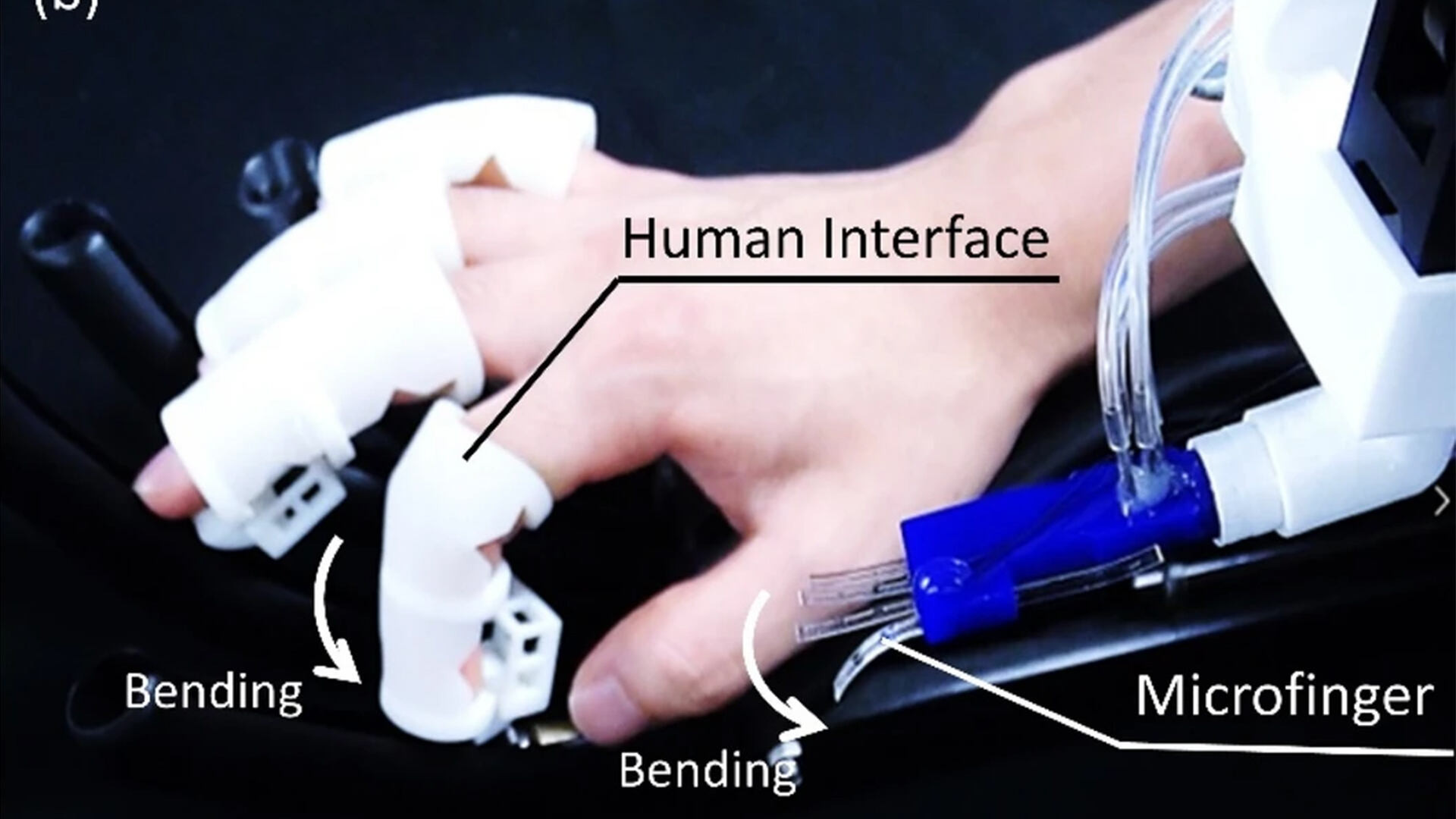 Researchers have developed robotic fingers that allow you to interact with insects