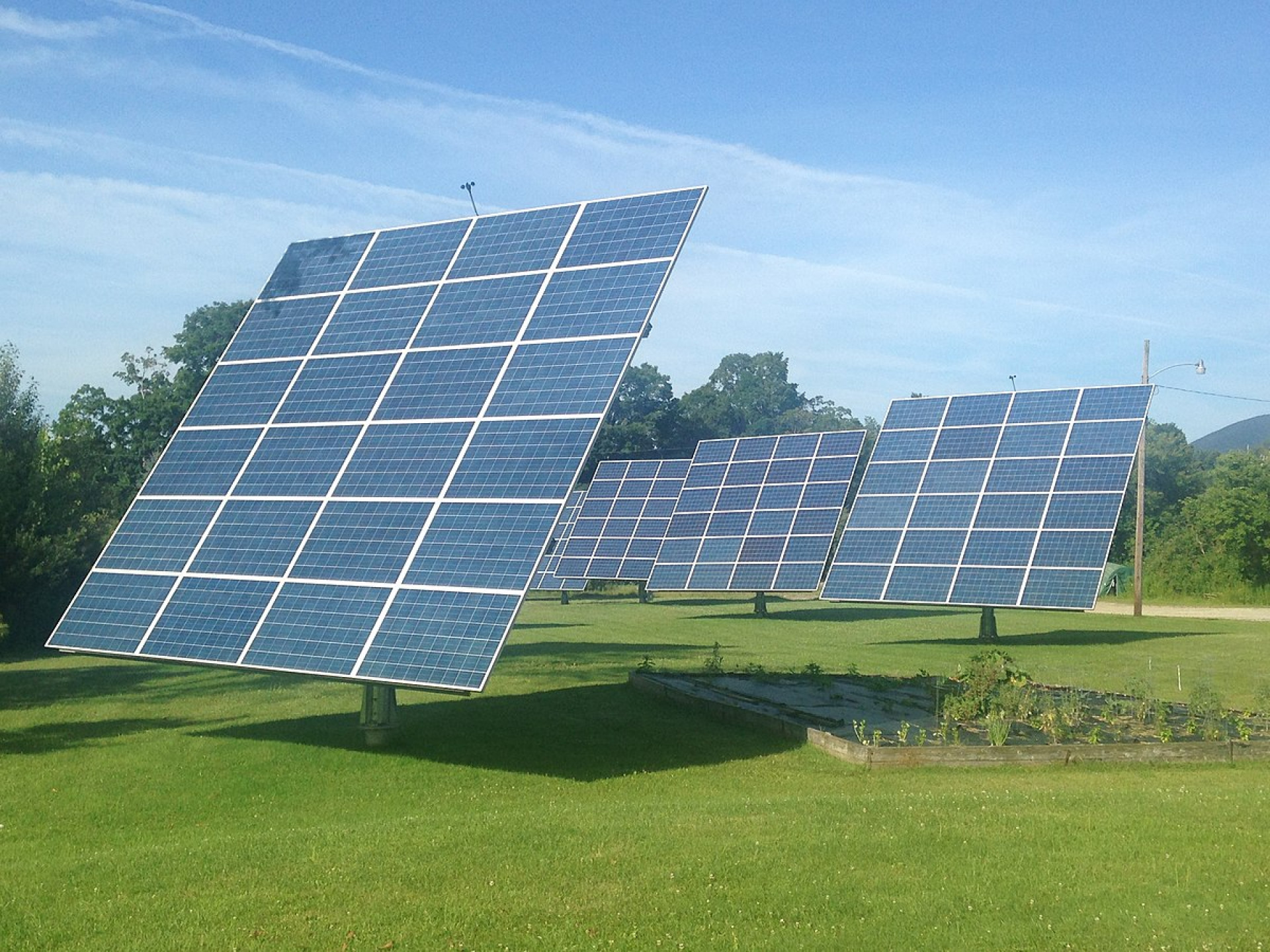A tomato pigment may be the key to increasing the efficiency of solar panels A tomato pigment may be the key to increasing the efficiency of solar panels