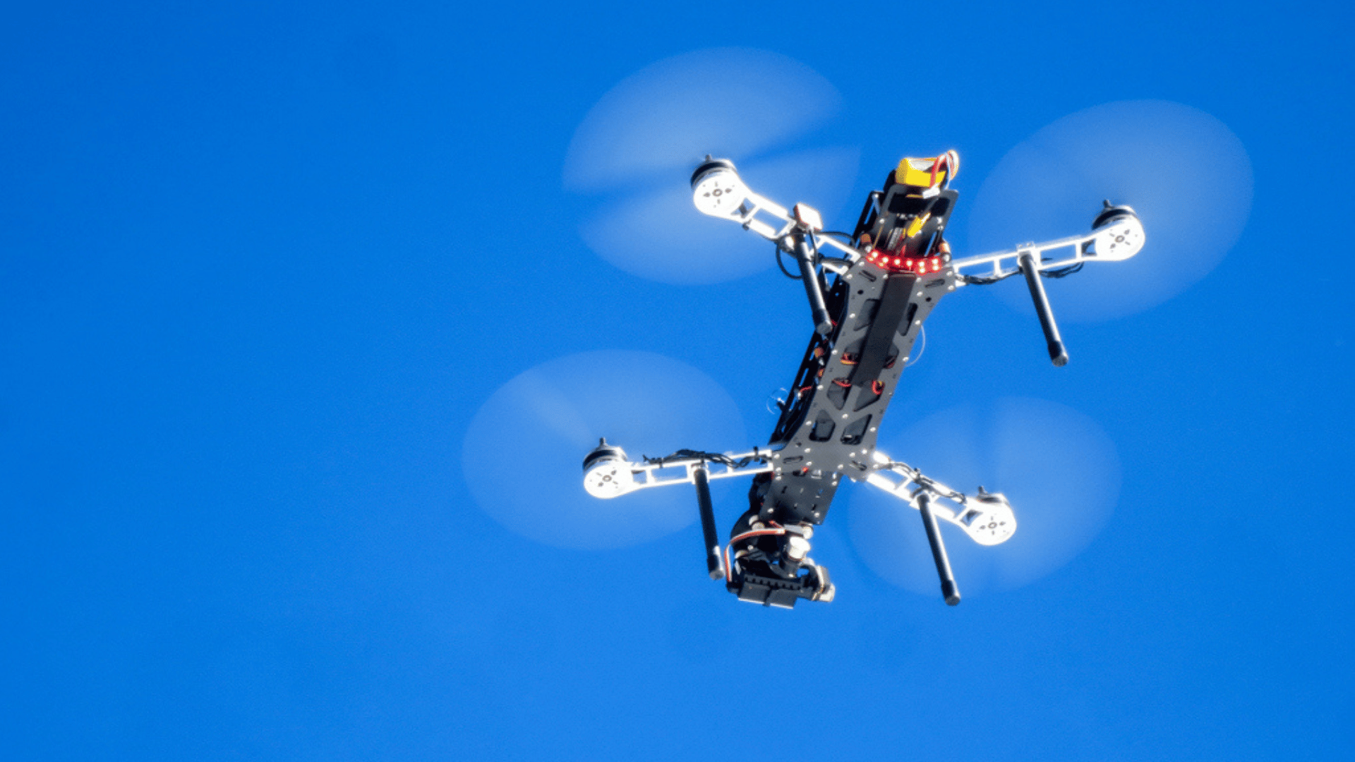 Future flying robots could be inspired by the aerodynamics of gliding ...