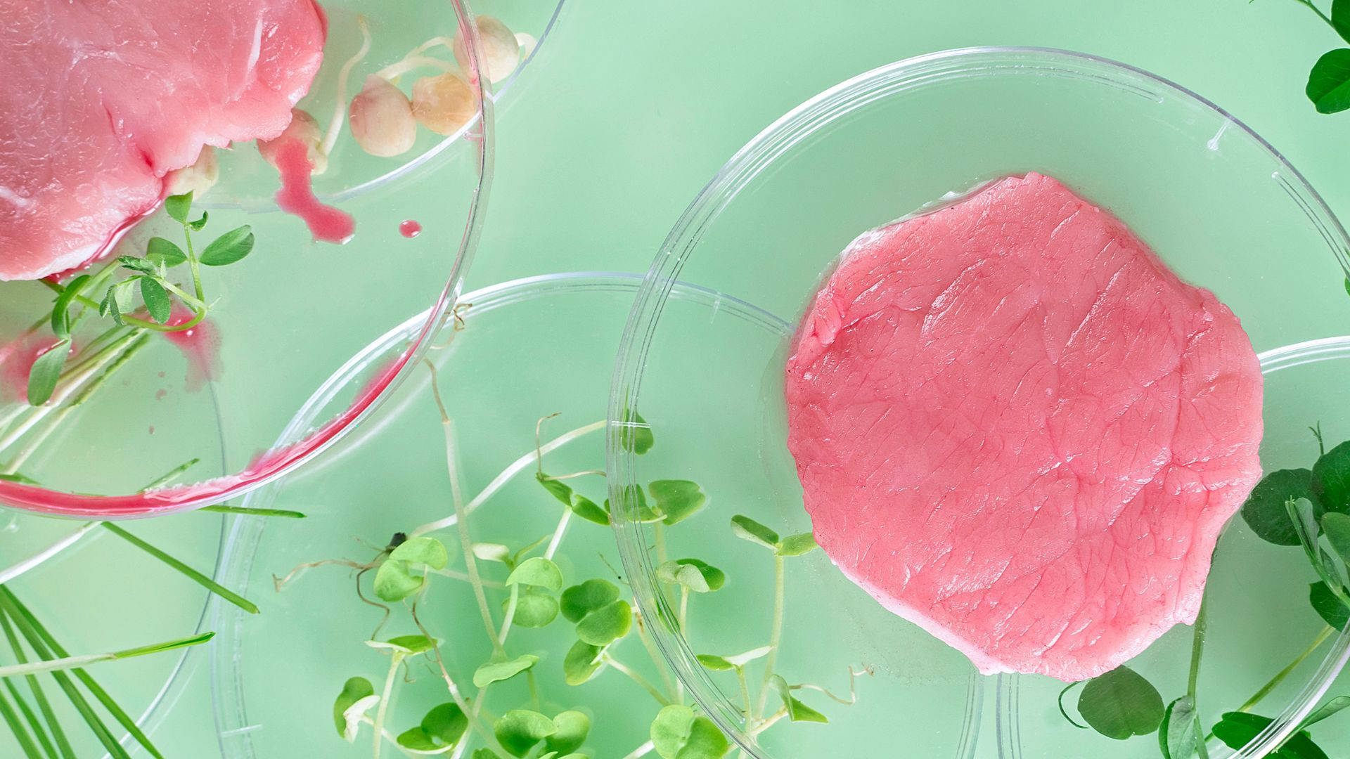 Labgrown meat could soon a reality in restaurants Interesting