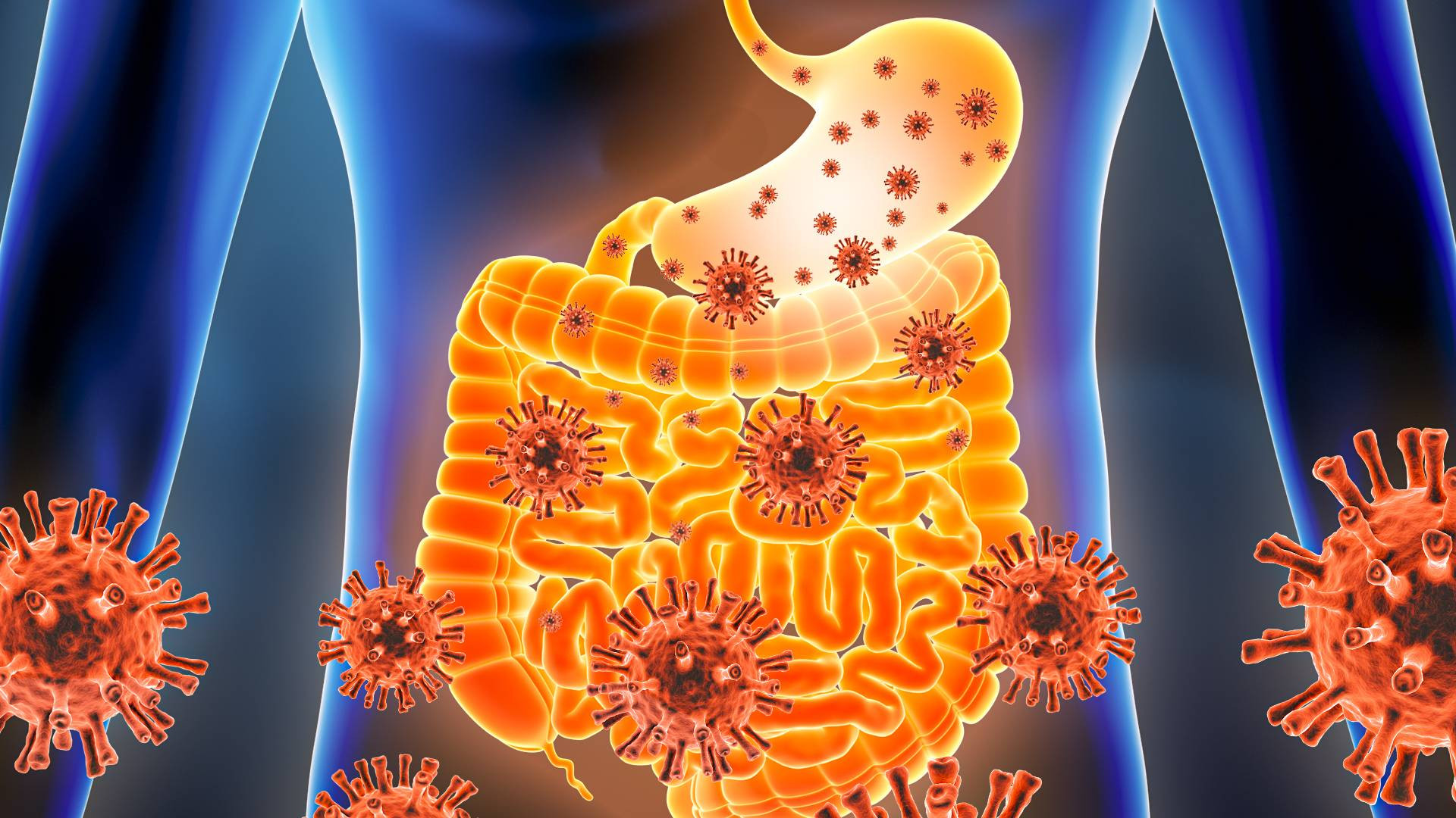 Gastrointestinal tract visual data 8
