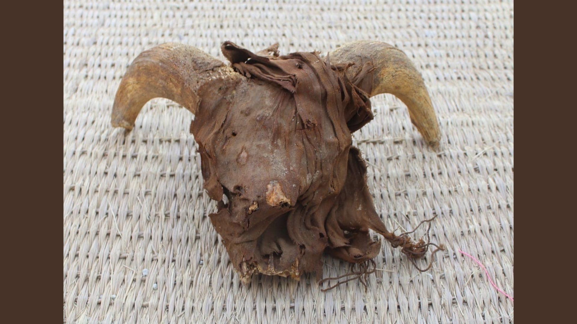 Archaeologists uncover 2,000 well-preserved ram heads in Egypt Archaeologists uncover 2,000 well-preserved ram heads in Egypt