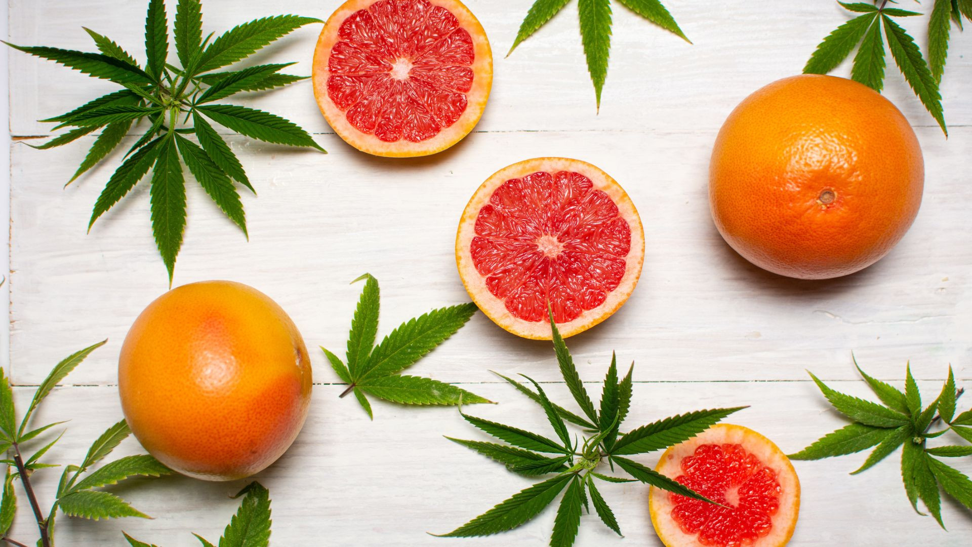 Preserving freshness: Edible CBD coating prolongs shelf life of fruits