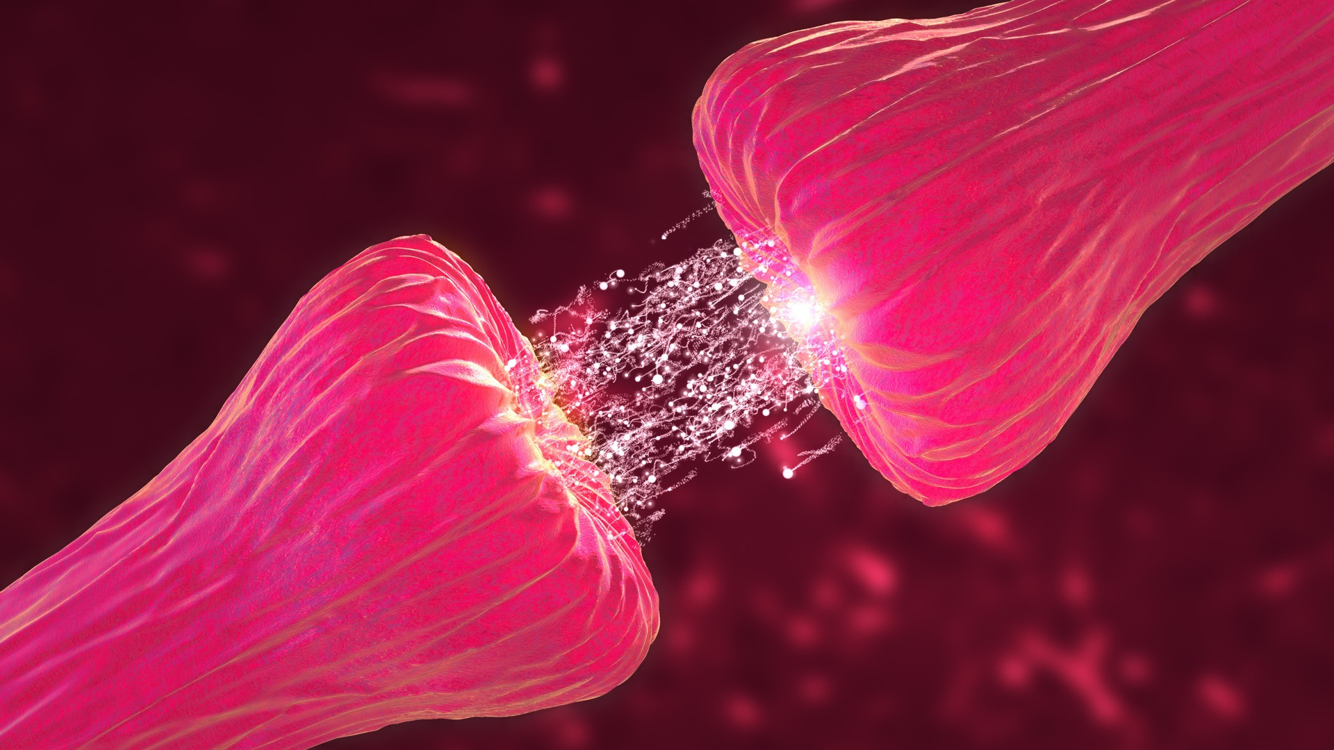 Scientists find new evidence of links between schizophrenia and dopamine