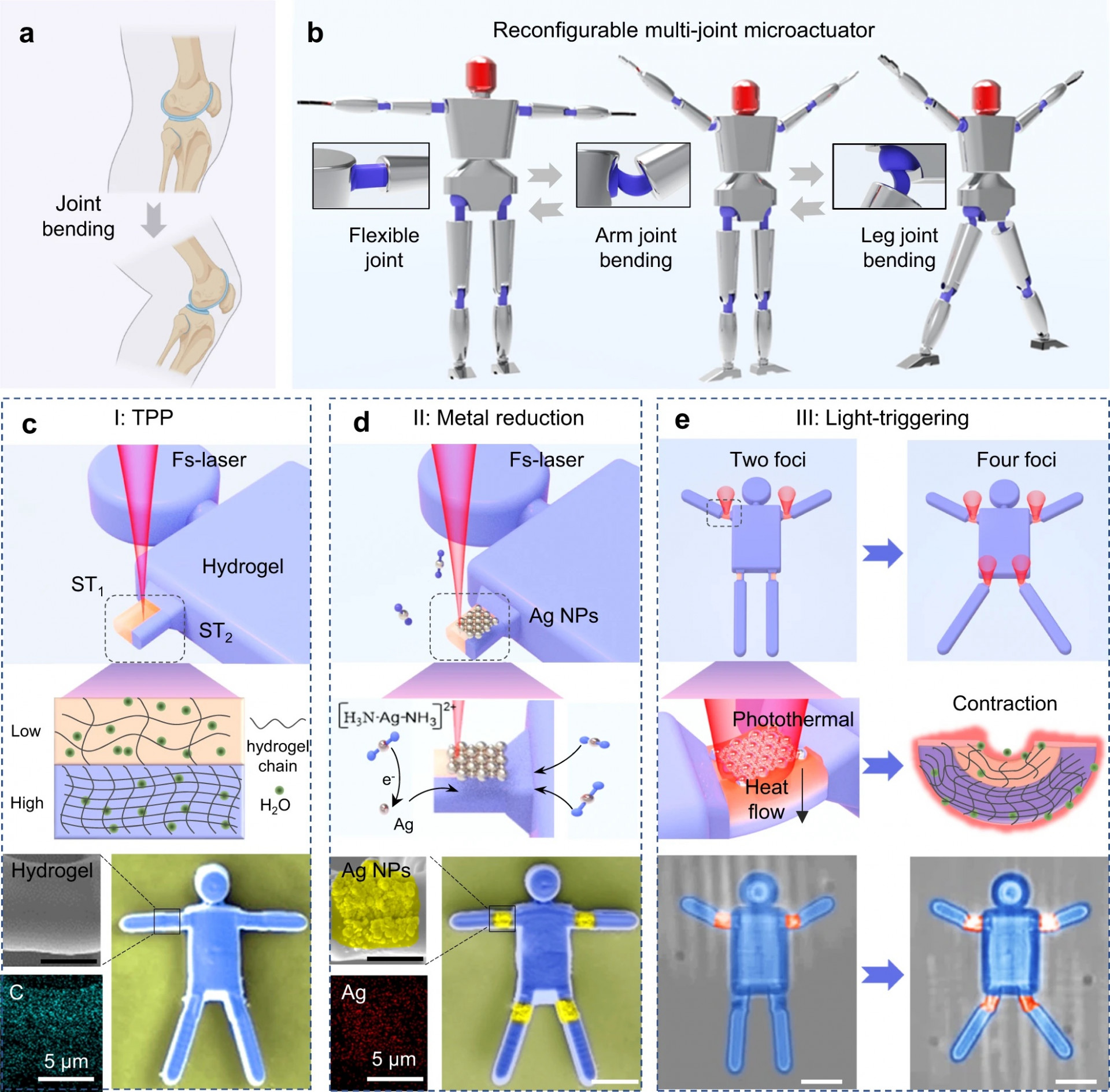 Chinese researchers create dancing microrobots using lasers