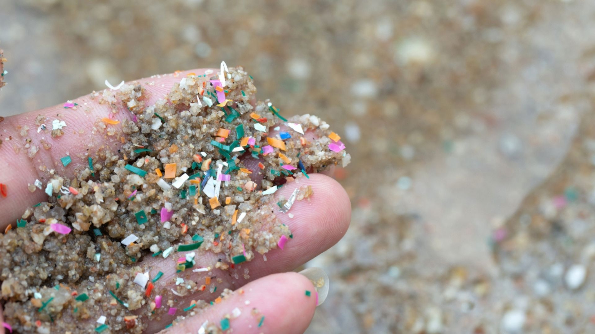 The Terrifying Truth About The Atlantics Microplastic Invasion - sin9g4n