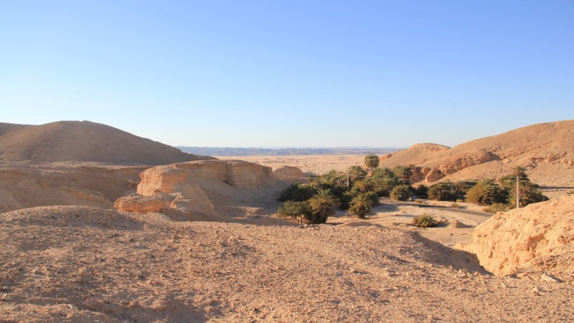Homo sapiens used another route to migrate out of Africa