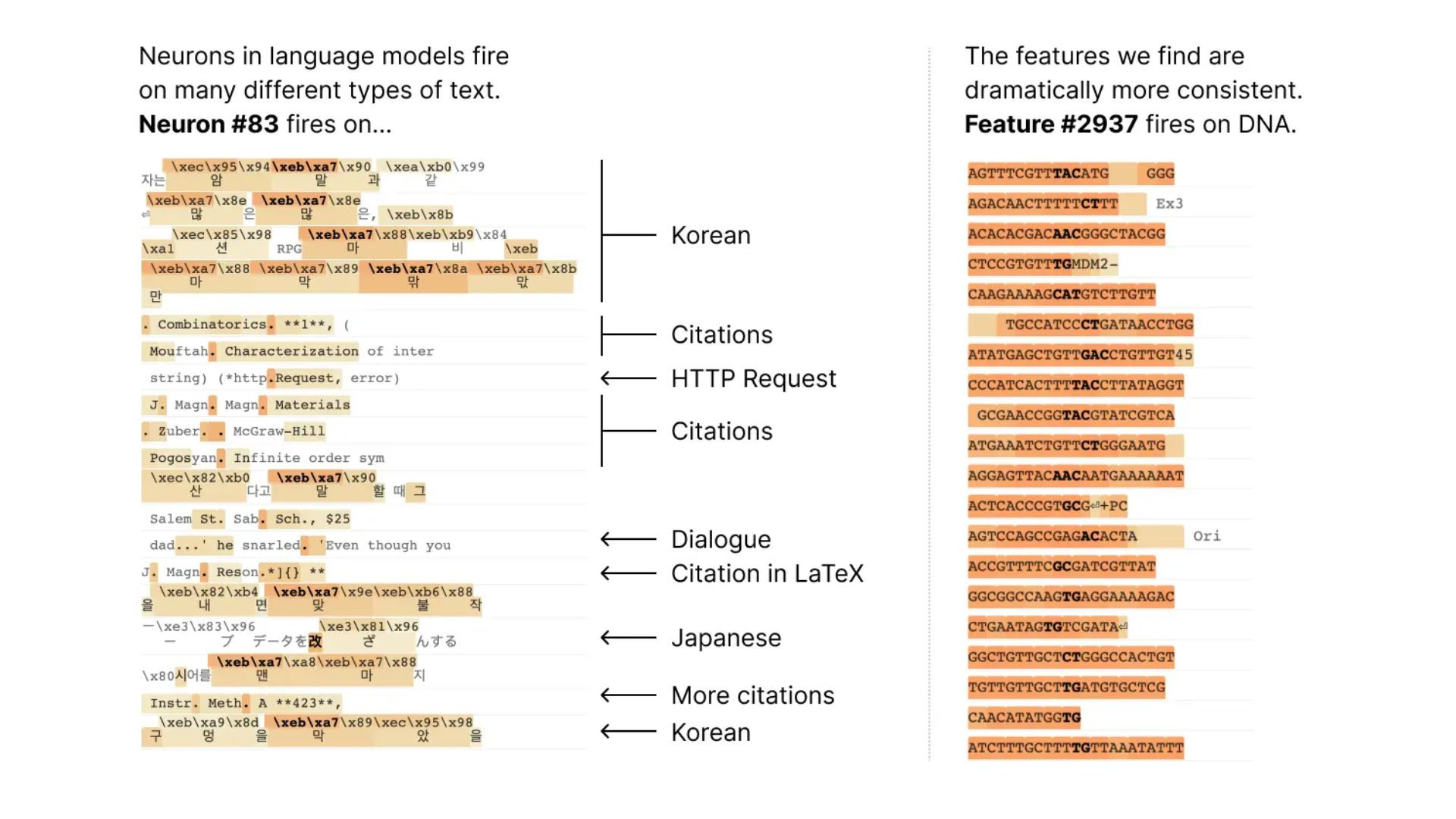 What makes AI brains tick? A study shows how to find out