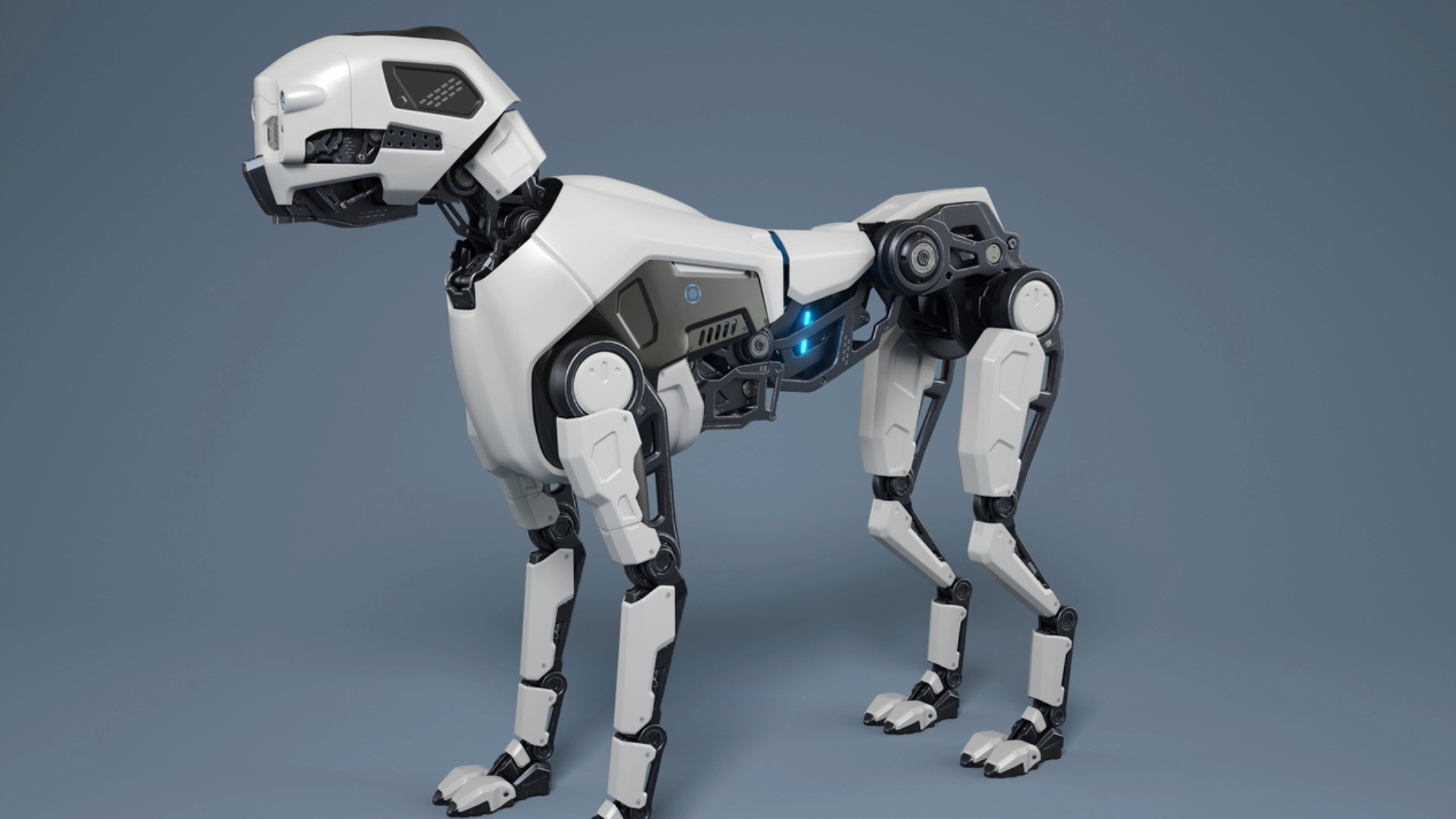 New algorithm may allow robots to move in crowded places