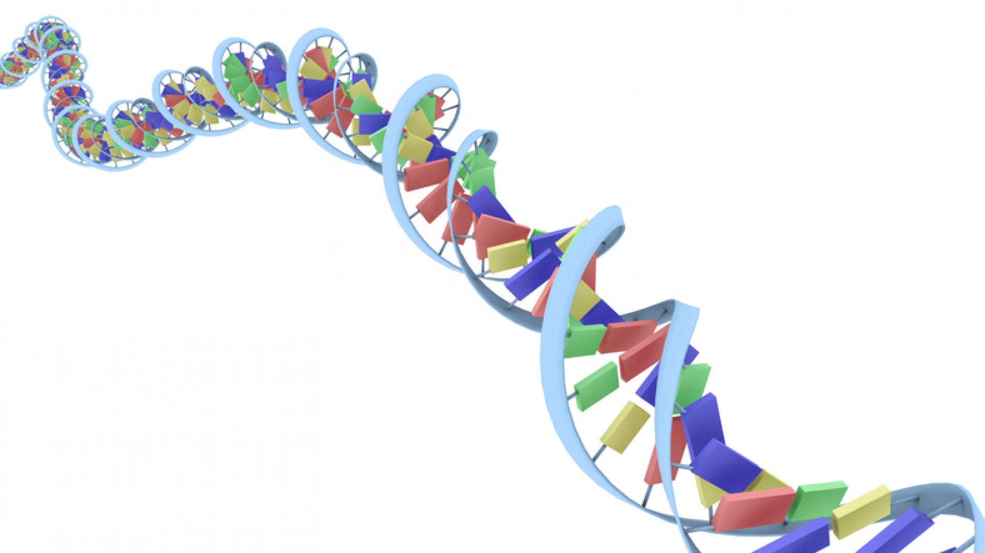 9 unusual facts about genetics you may not already know