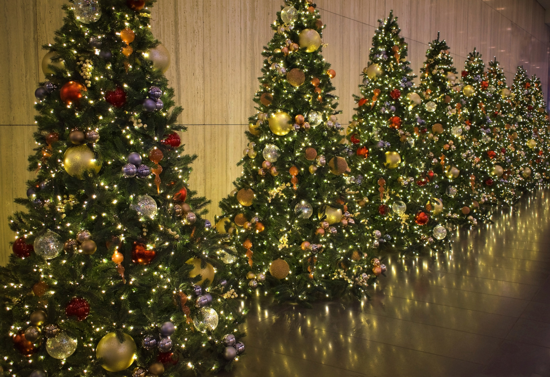 modified Xmas trees may reduce needle shedding