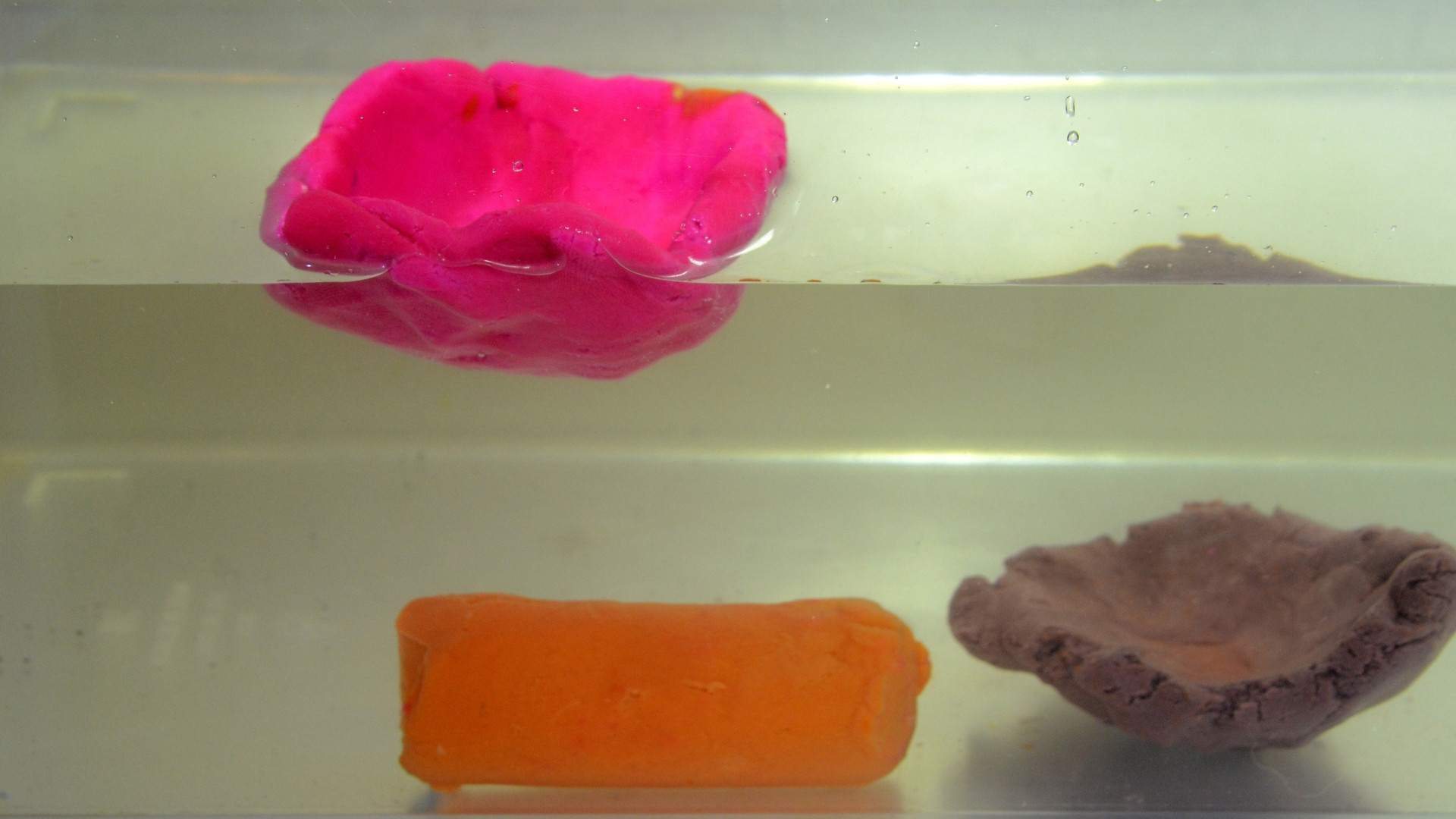 Poo float or sink? Study unravels what makes the difference