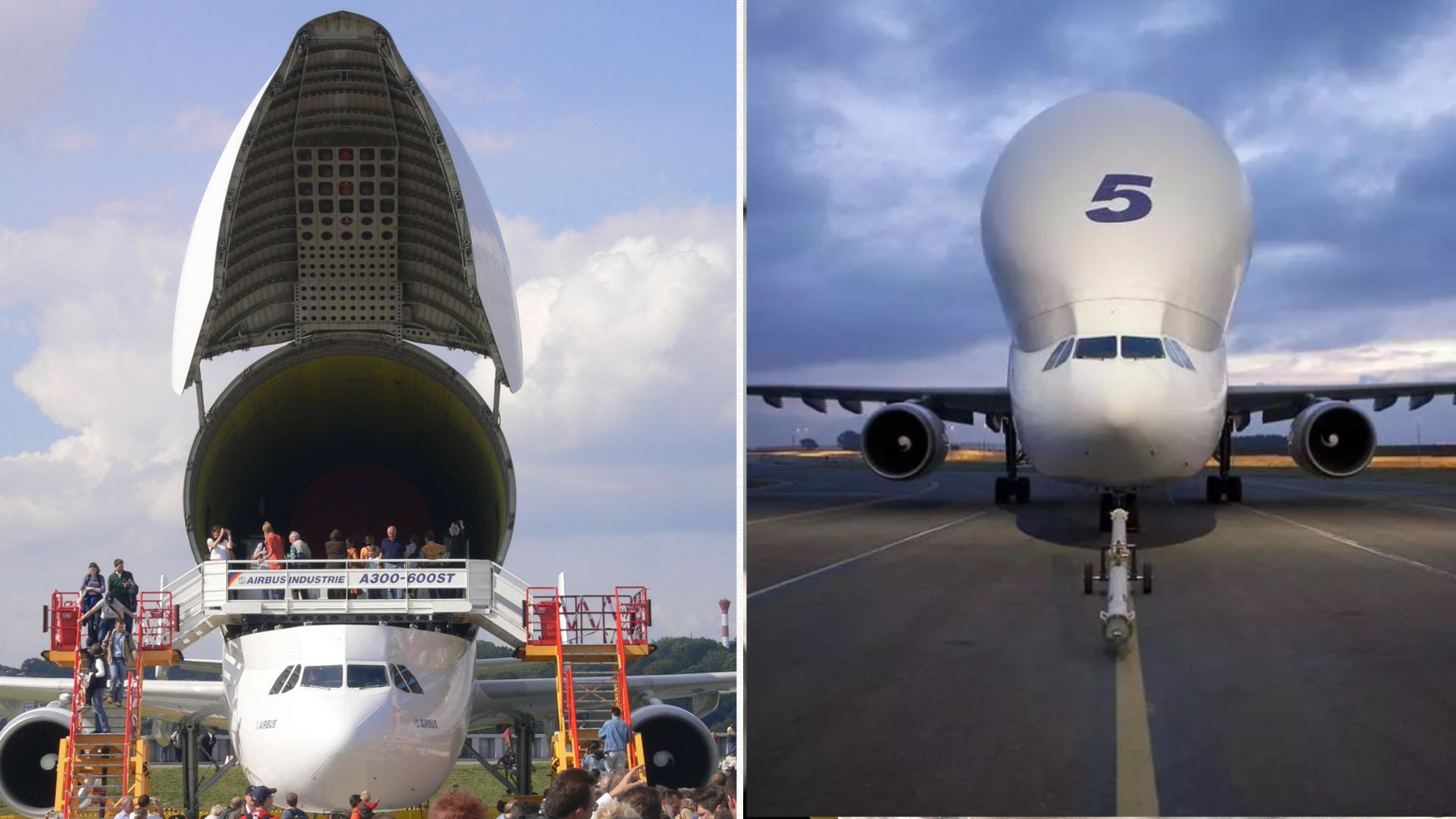 Airbus Beluga cargo plane to begin US operation in 2024