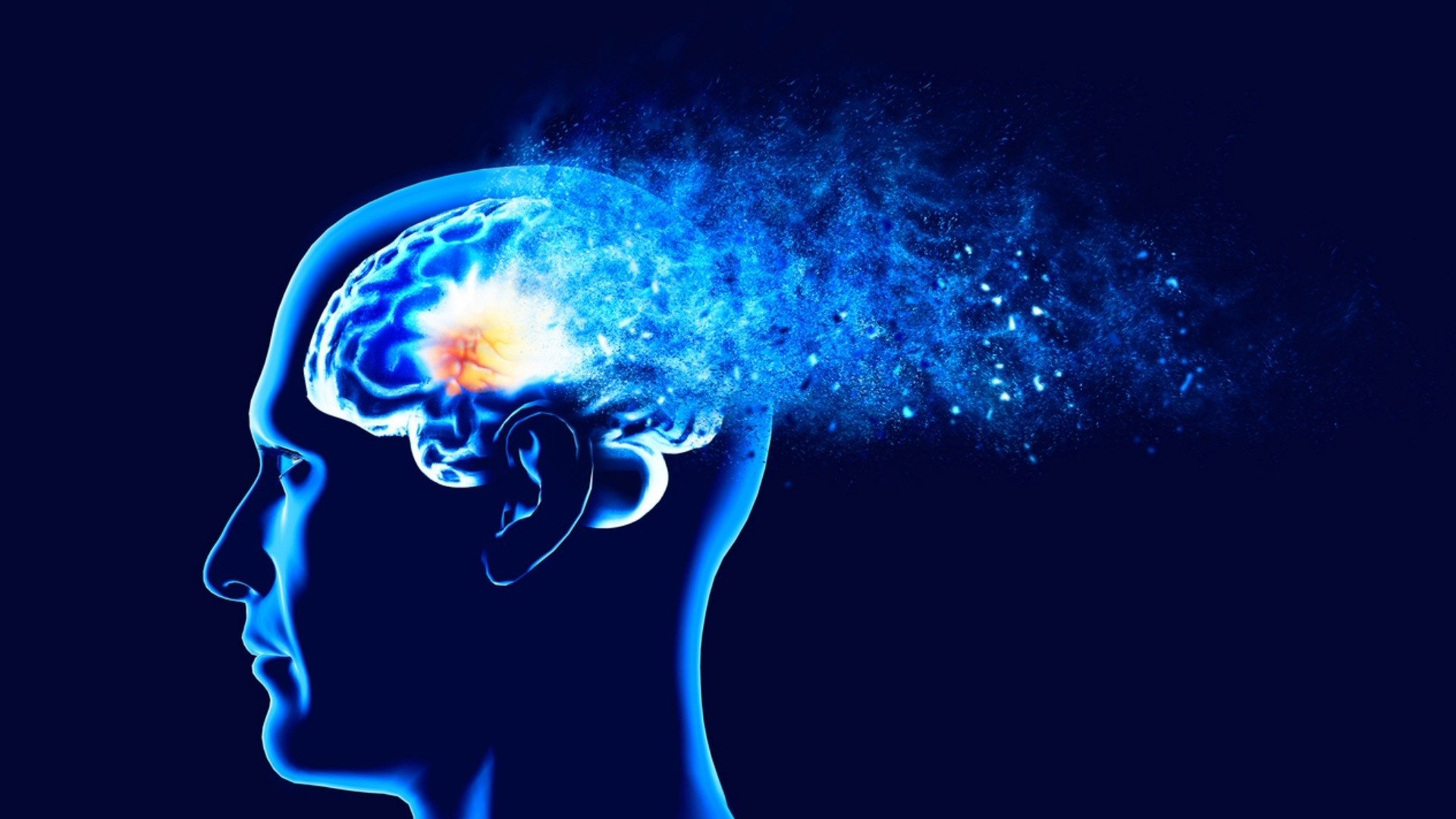 Finally Scientists Crack The Code On Malarias Exit Strategy - 5rlw9cg