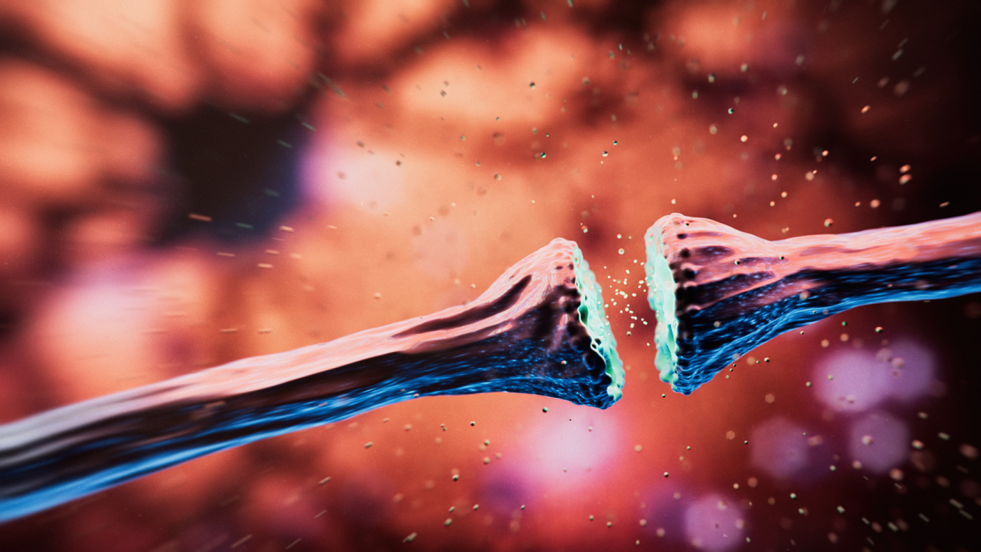 Genes once shielding ancestors, now tied to Multiple Sclerosis risk