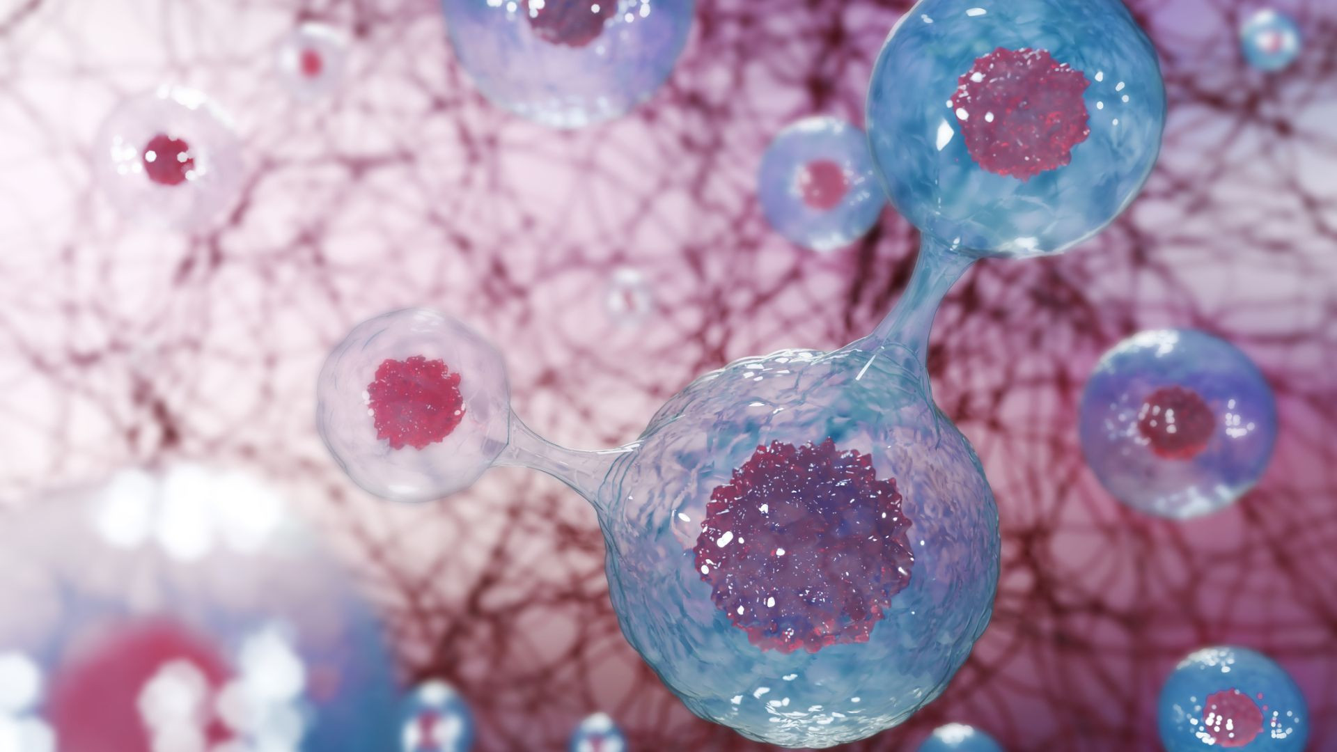 Cancer treatment more effective when tumours are defective