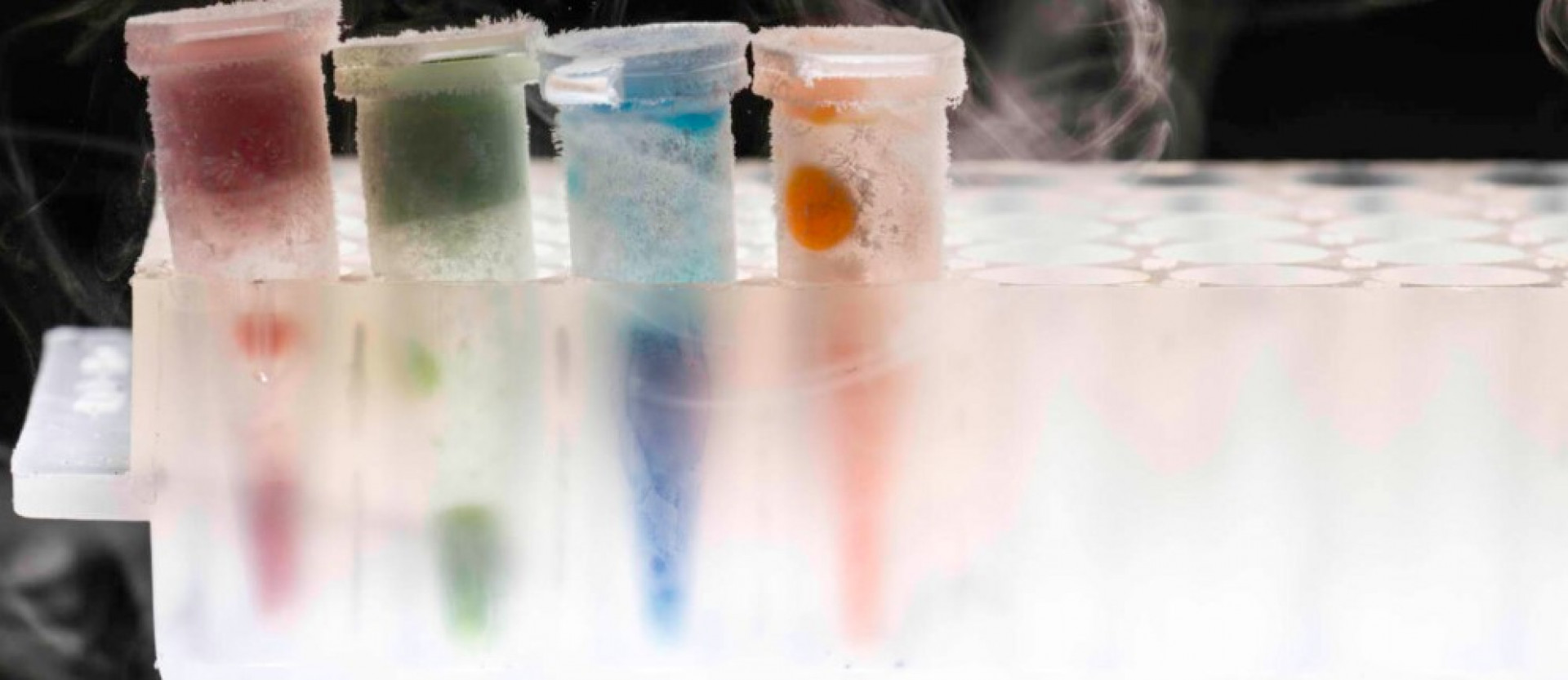 Students create 3D-bioprinting system to replicate chemicals in plants