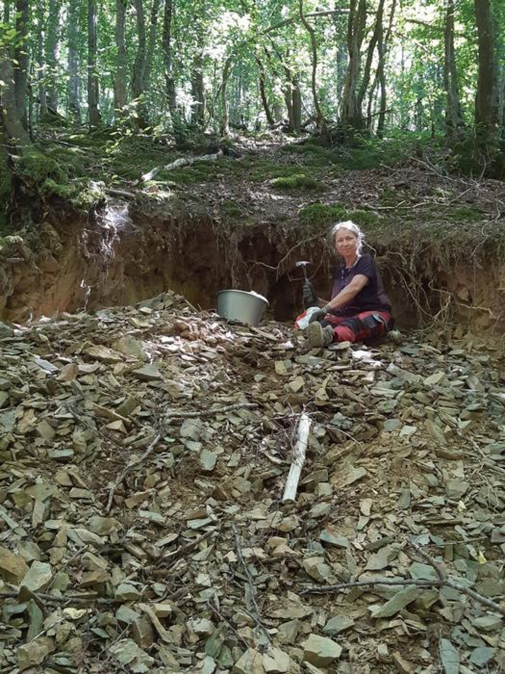 400 ancient fossils dating back 470 million years found in France