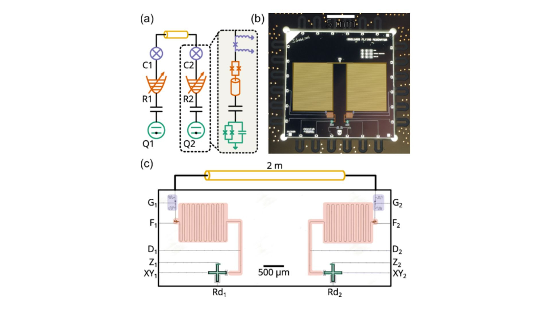 Multiphoton quantum leaps makes breakthrough for secure networks
