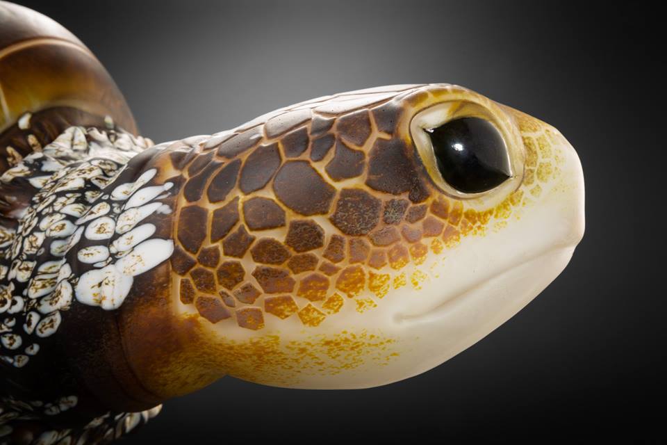 This Glass Artist Created a Sea Turtle Sculpture So Lifelike You'll Swear It's Real This Glass Artist Created a Sea Turtle Sculpture So Lifelike You'll Swear It's Real