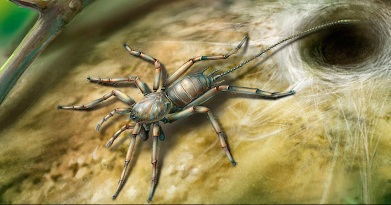 Researchers Discover 100-Million-Year-Old Spider with Tail 'Frozen' in Amber Researchers Discover 100-Million-Year-Old Spider with Tail 'Frozen' in Amber