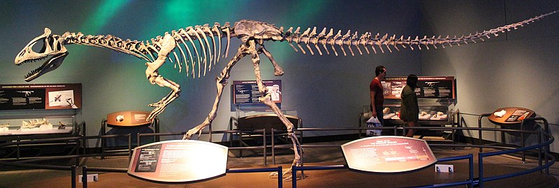 facts about Antarctica dinosaurs