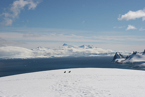 facts about Antarctica fresh water