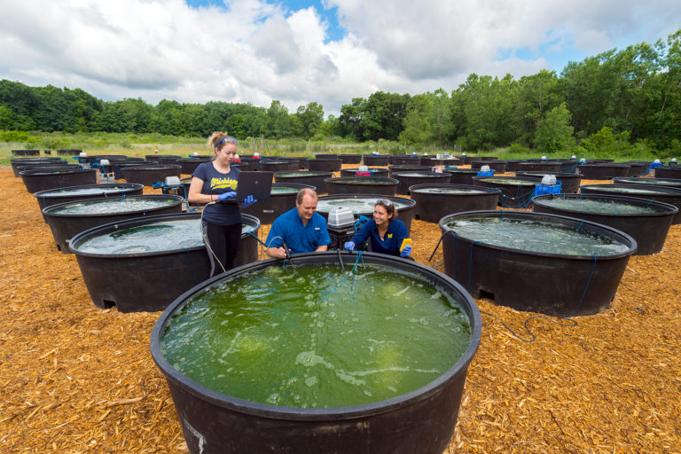 Scientists Confirm that Biodiversity is Key to Growing Stable Algal Biofuel Scientists Confirm that Biodiversity is Key to Growing Stable Algal Biofuel