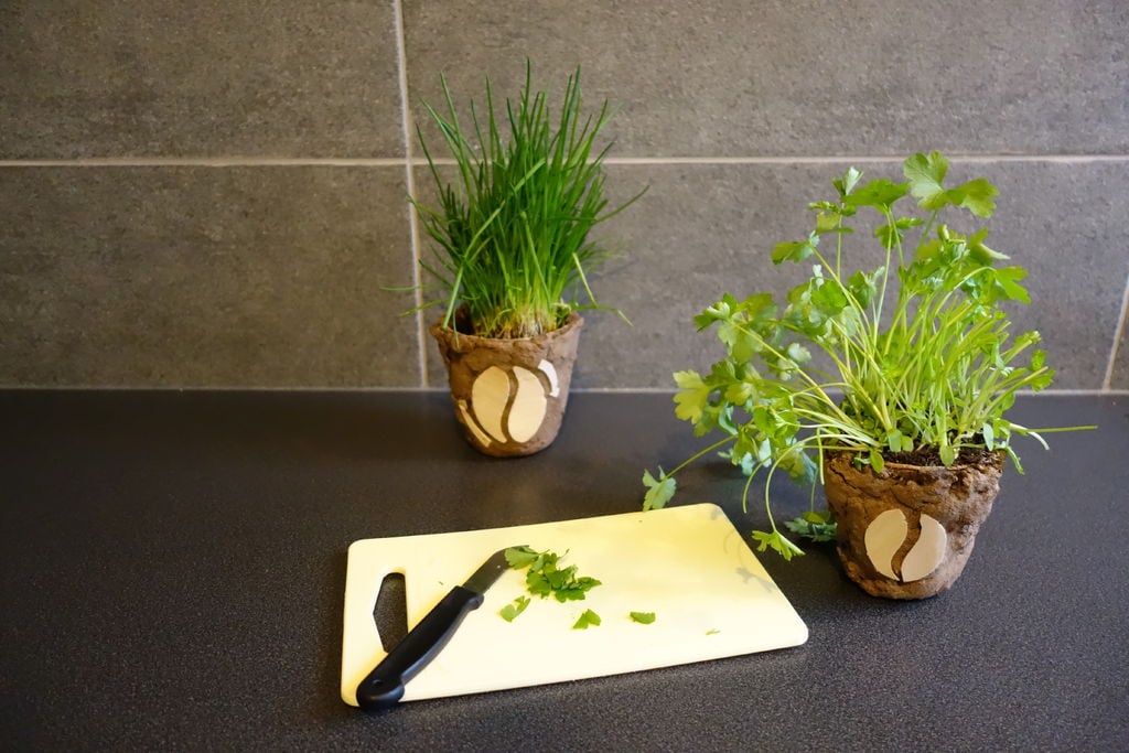 11 Awesome DIY Recycling Systems You Can Build at Home 11 Awesome DIY Recycling Systems You Can Build at Home