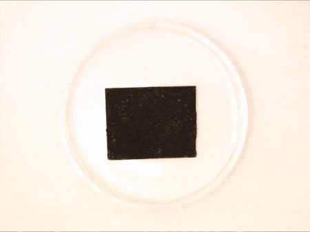 Closed-Loop-Plastic Closed Loop Plastics
