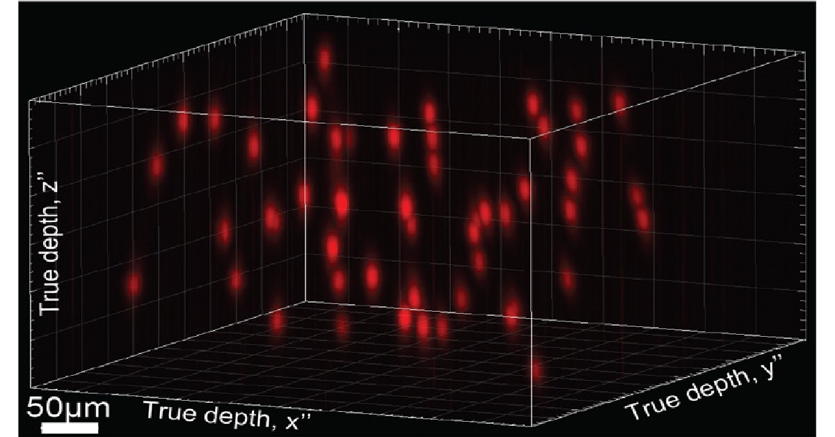 Scientists Are Using Holograms to Edit Brain Activity Scientists Are Using Holograms to Edit Brain Activity