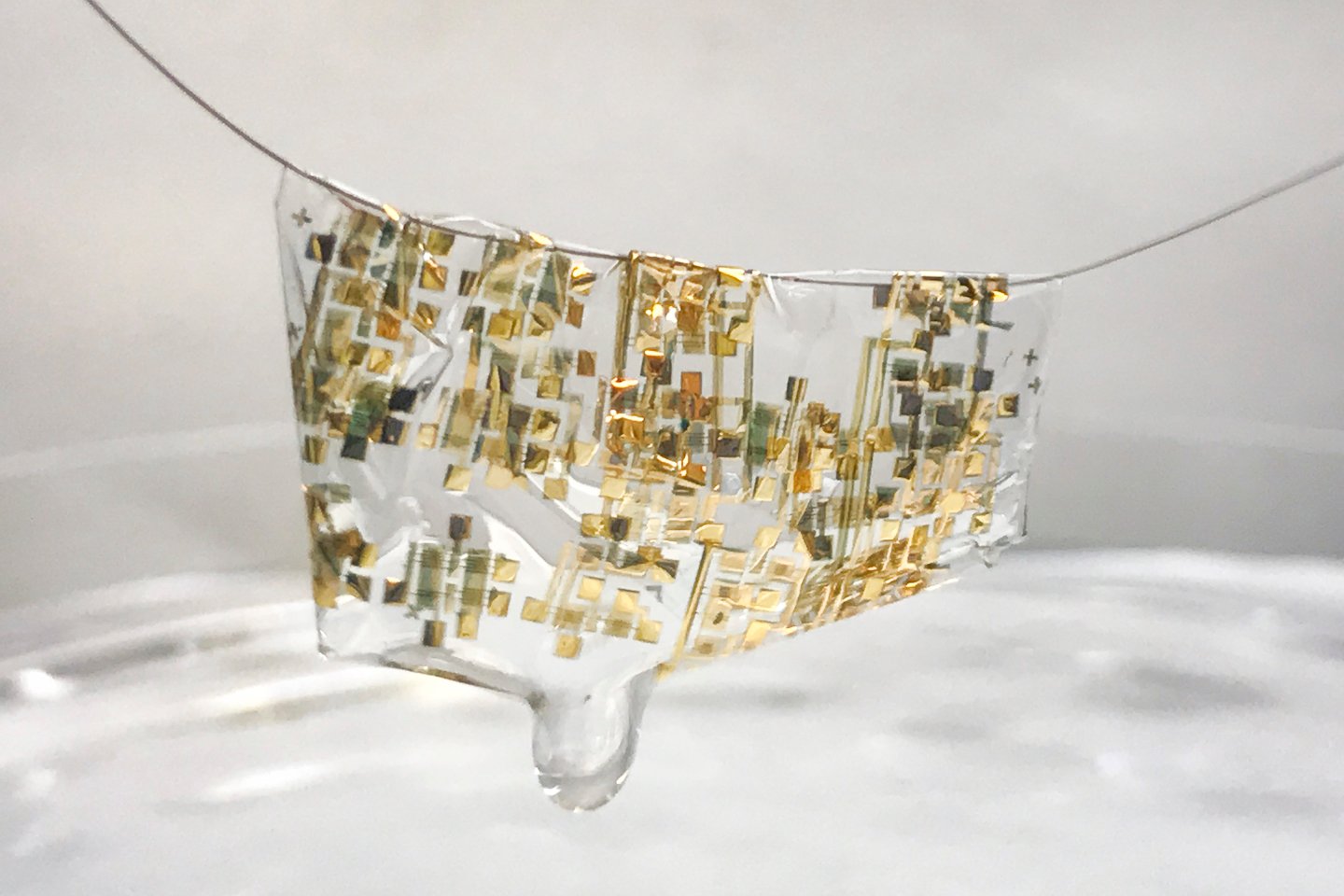 17 Items That Can Now Become Biodegradable Thanks to Recycling Innovations 17 Items That Can Now Become Biodegradable Thanks to Recycling Innovations