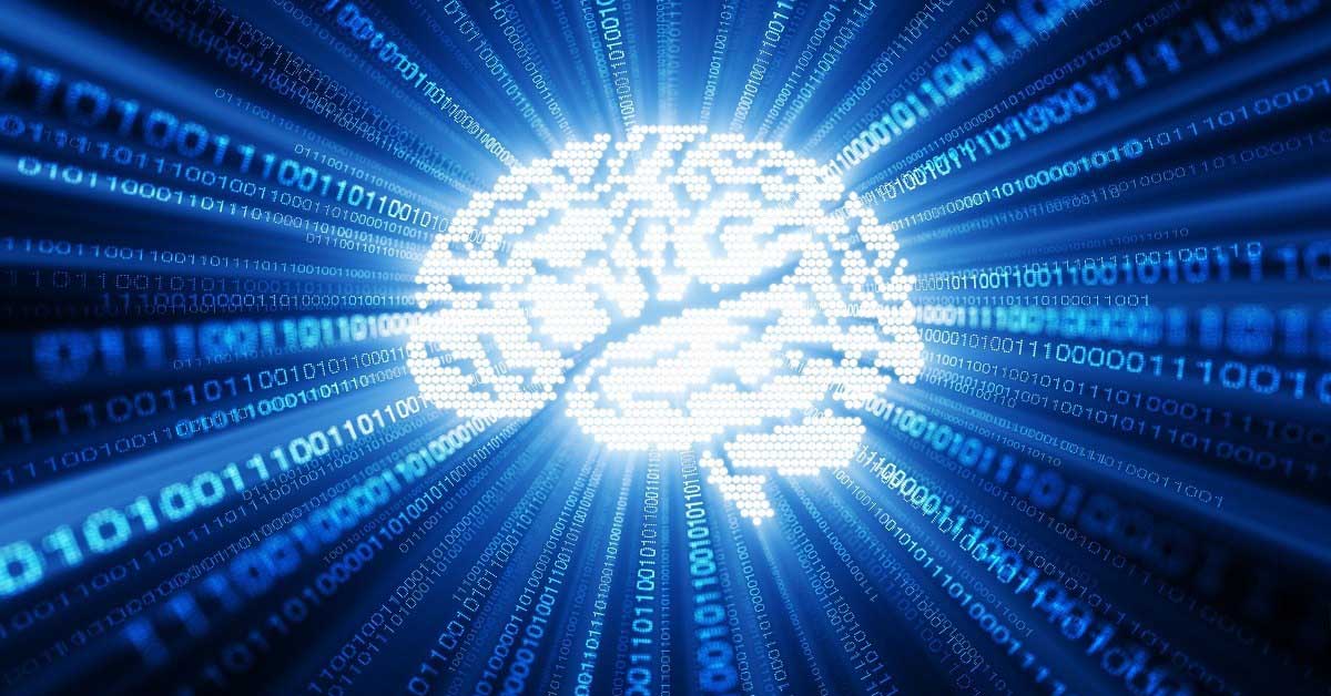 Brain-Data Brain Data