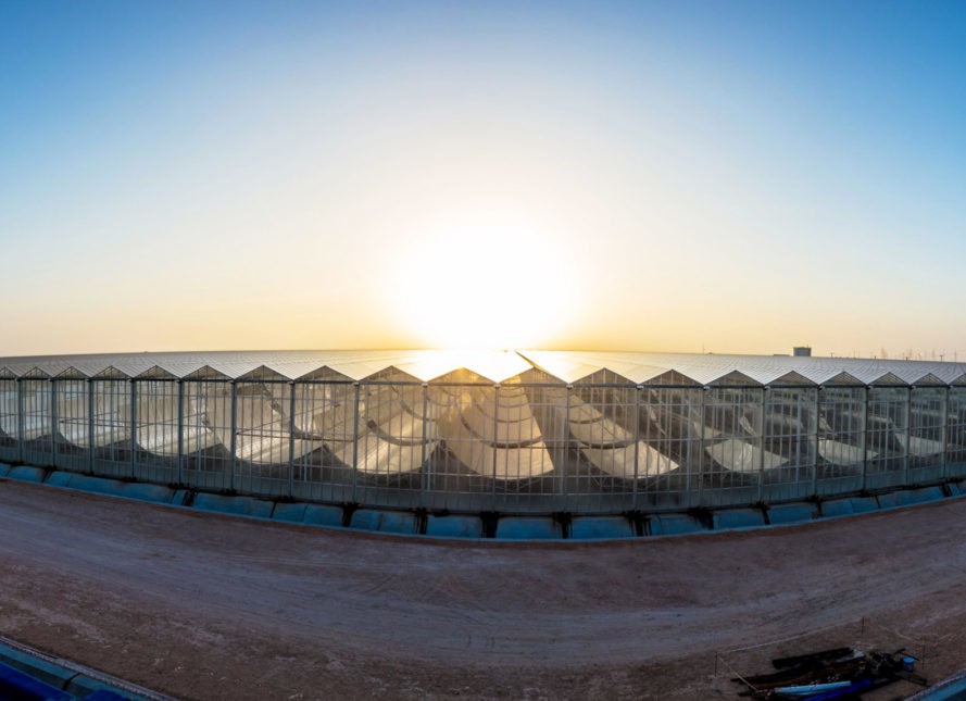 Oman Oilfield to Receive Steam Generated from 1,021 MW Solar Plant