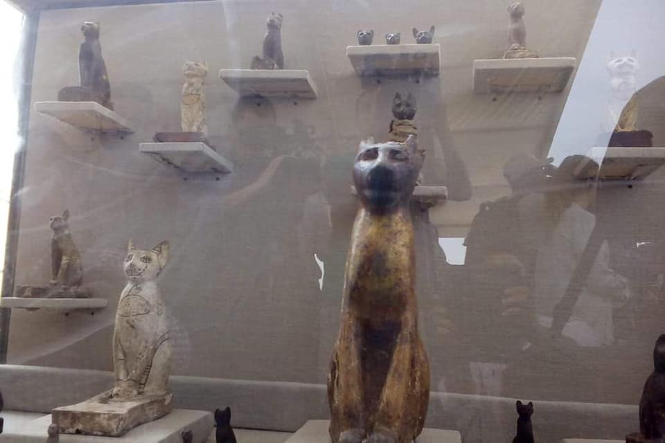 cat egypt mummies statues