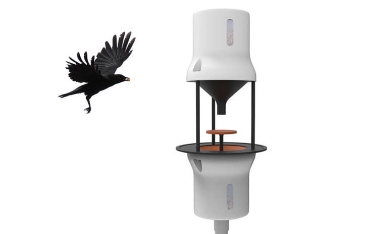 This Startup Teaches Crows to Pick up Cigarette Butts from City Streets