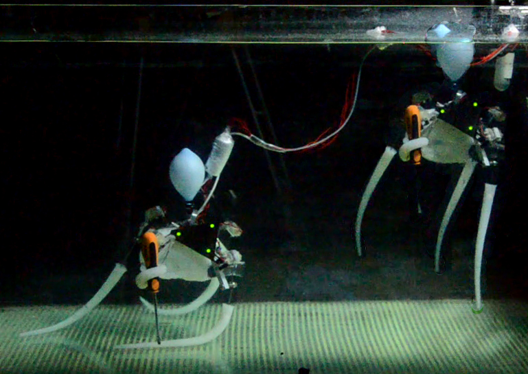 This Octopus-Inspired Robot Can Swim, Grasp Objects and Crawl Around This Octopus-Inspired Robot Can Swim, Grasp Objects and Crawl Around