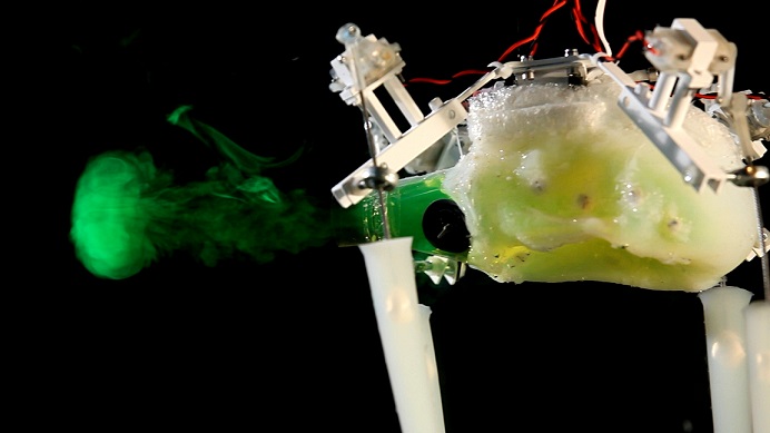 This Octopus-Inspired Robot Can Swim, Grasp Objects and Crawl Around This Octopus-Inspired Robot Can Swim, Grasp Objects and Crawl Around