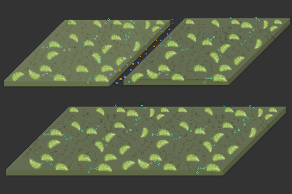 Self Healing Material MIT Self Healing Material MIT