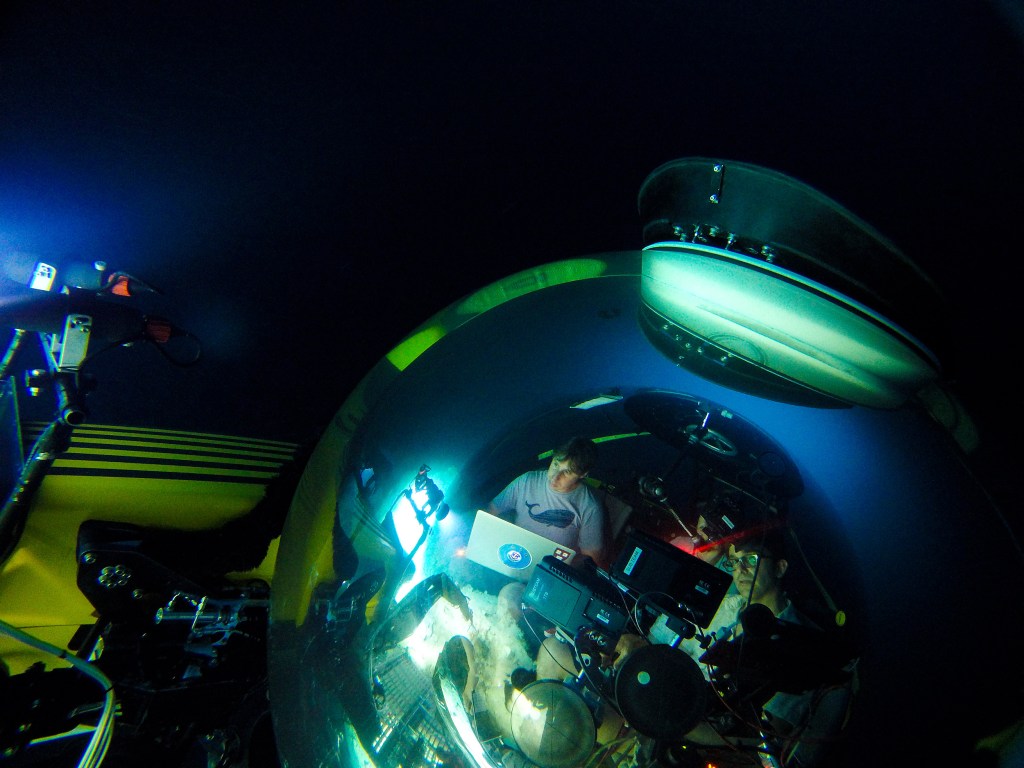 Soft Robotic Arms for Exploring Delicate Sea Life Soft Robotic Arms for Exploring Delicate Sea Life