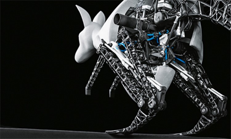 Robotic kangaroo based on the principles of nature