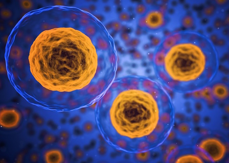 cells
