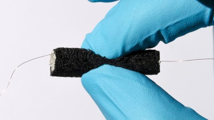 Squeezable soft body battery made from wood