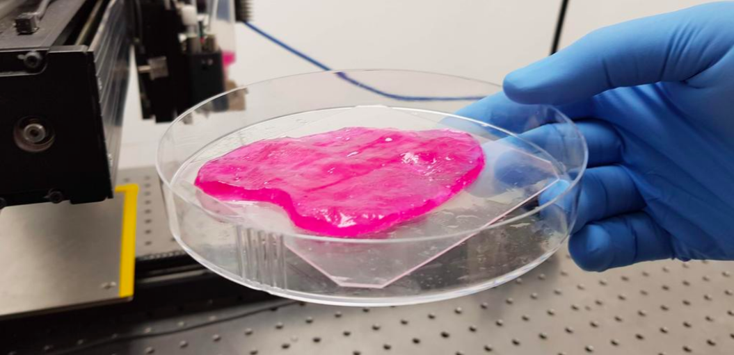 Israeli Startup 3D Prints Juicy Steaks by Using Cellular 'Ink' Israeli Startup 3D Prints Juicy Steaks by Using Cellular 'Ink'
