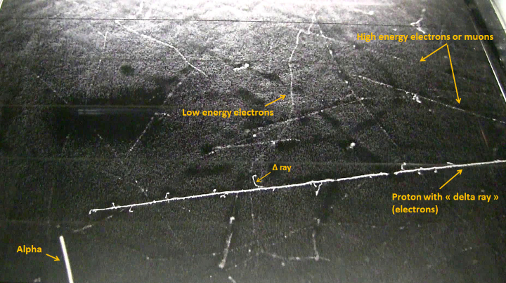 Cosmic ray tracks in a cloud chamber Cosmic ray tracks in a cloud chamber