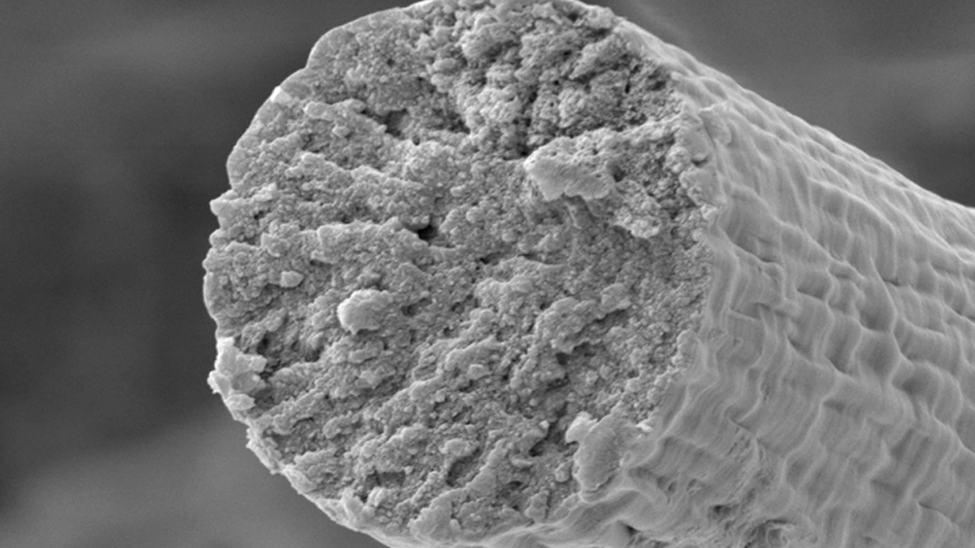 Scientists Created a Synthetic Muscle Fiber That's Stronger Than Kevlar