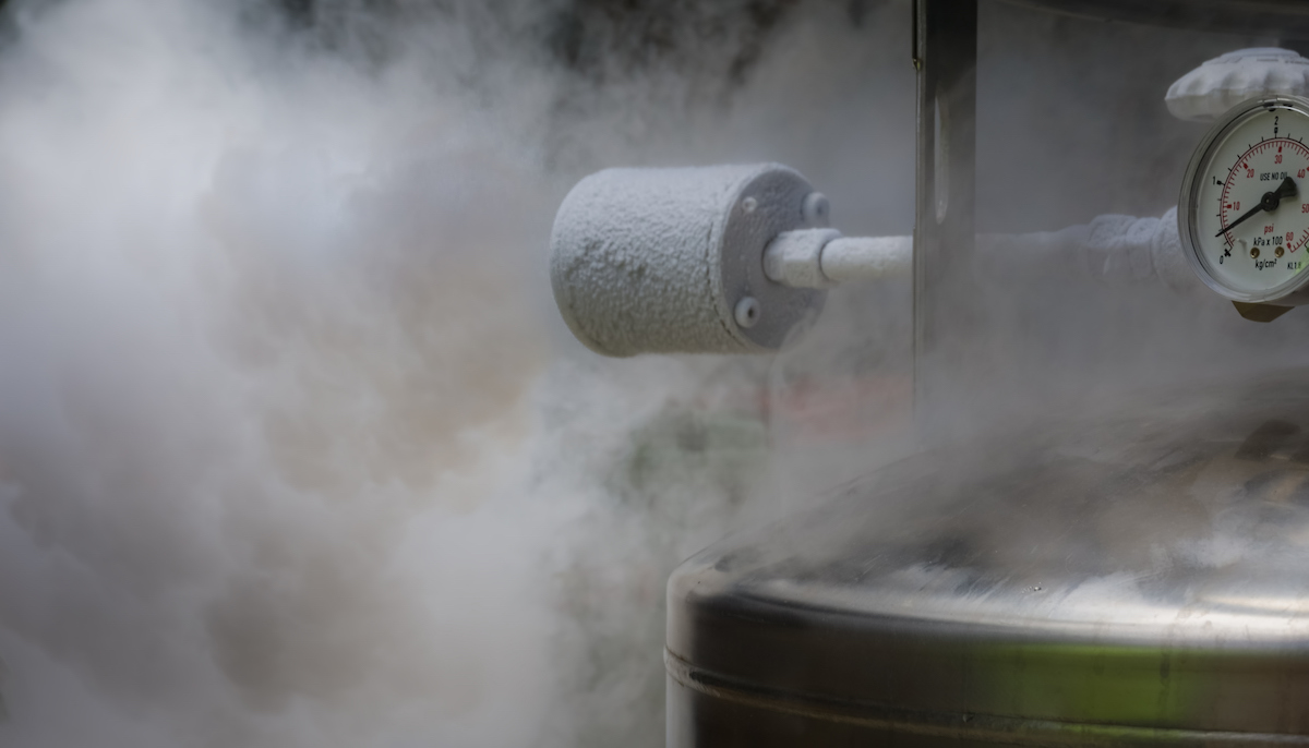Science or Scam? 9 Things You Should Know Before You Sign up for Cryonic Suspension Science or Scam? 9 Things You Should Know Before You Sign up for Cryonic Suspension