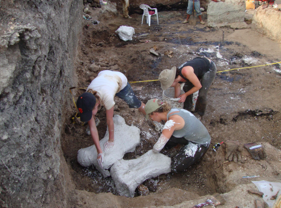 'Death Pit' Reveals Giant Sloths May Have Died From Poopy Water 'Death Pit' Reveals Giant Sloths May Have Died From Poopy Water