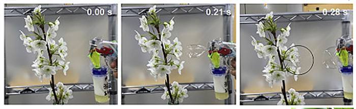 Drones Equipped with Bubble Guns Pollinate Flowers as Bees Decline Drones Equipped with Bubble Guns Pollinate Flowers as Bees Decline